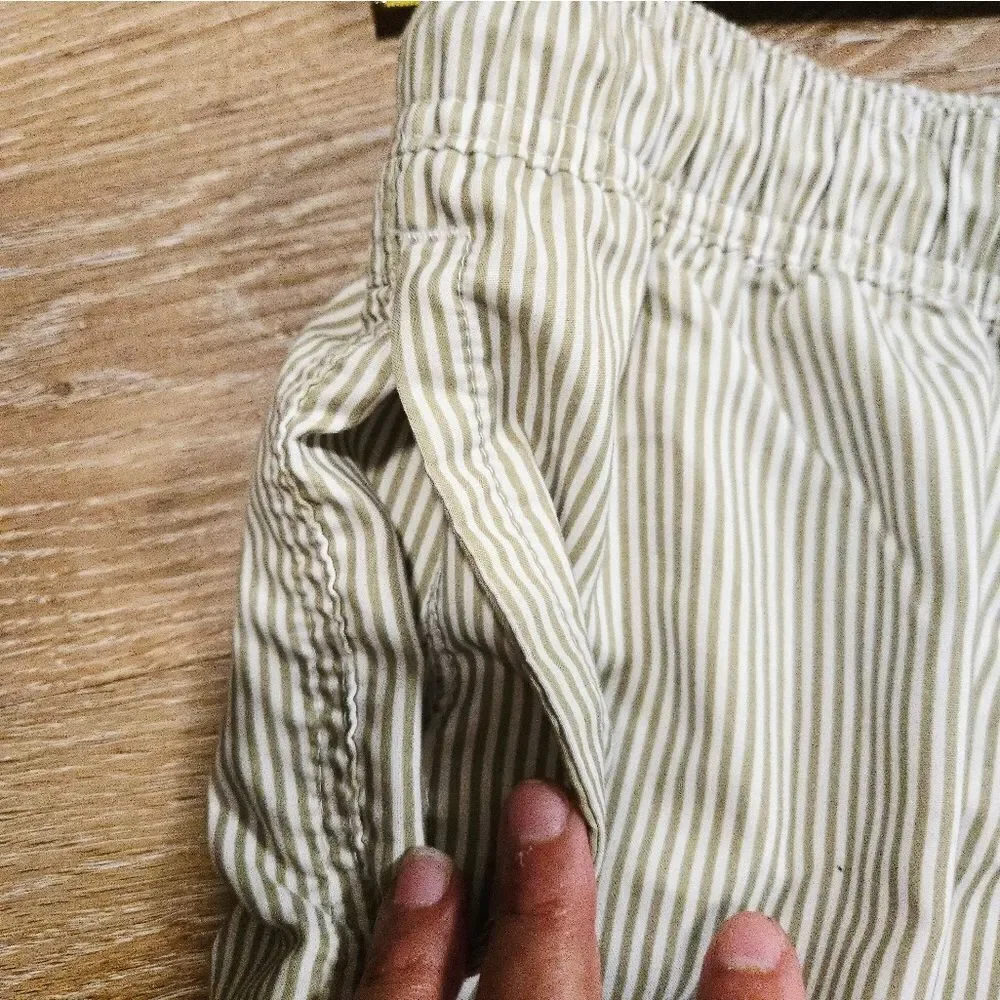 Men's Green Striped Swim Shorts